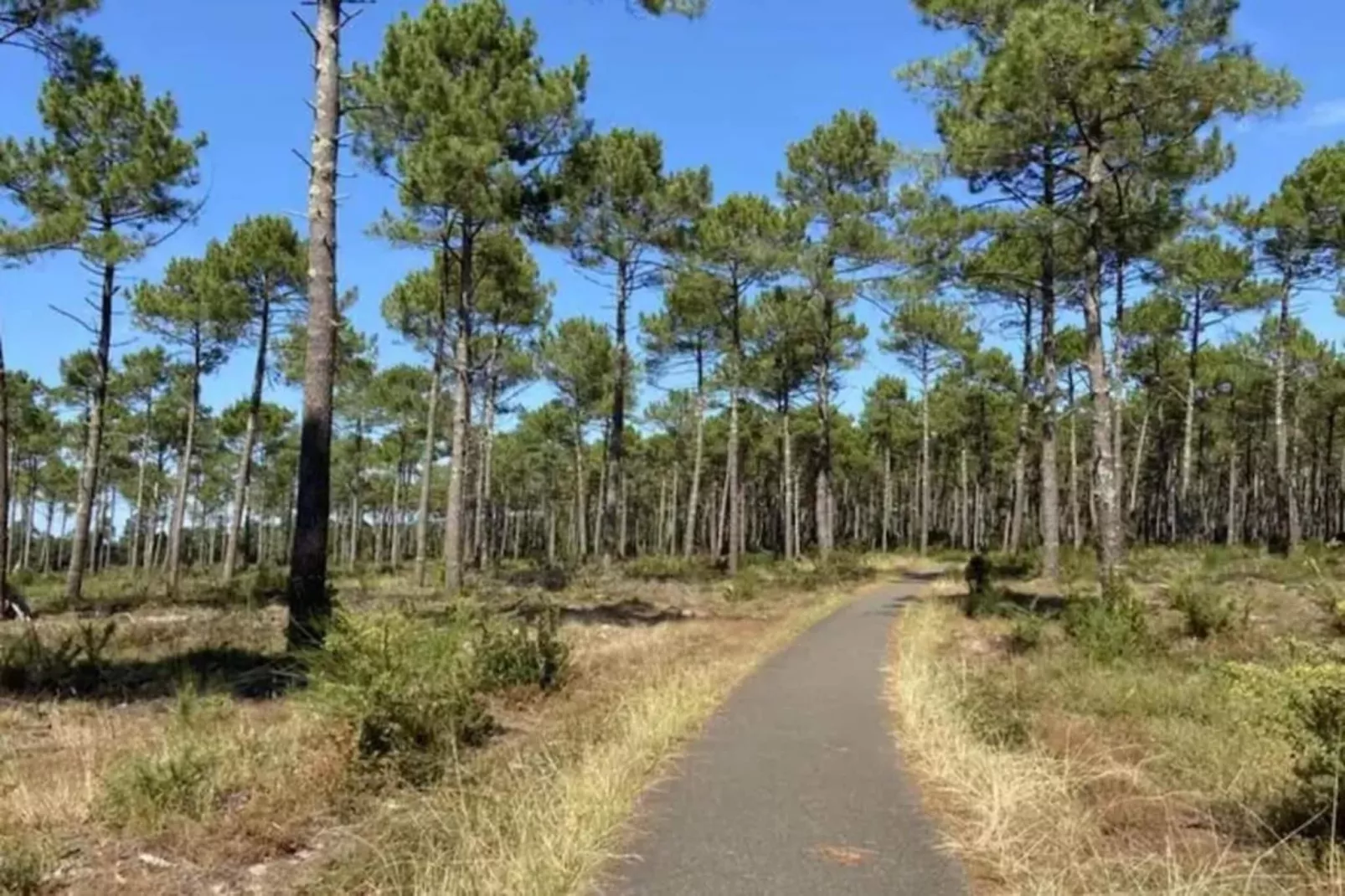 Villa Contempo 6 ex 5-Gebieden zomer 20km