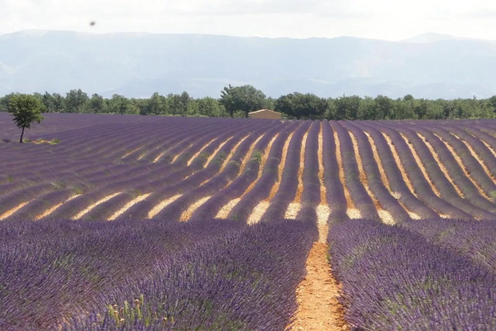 Villa Les Arcs sur Argens-Gebieden zomer 20km