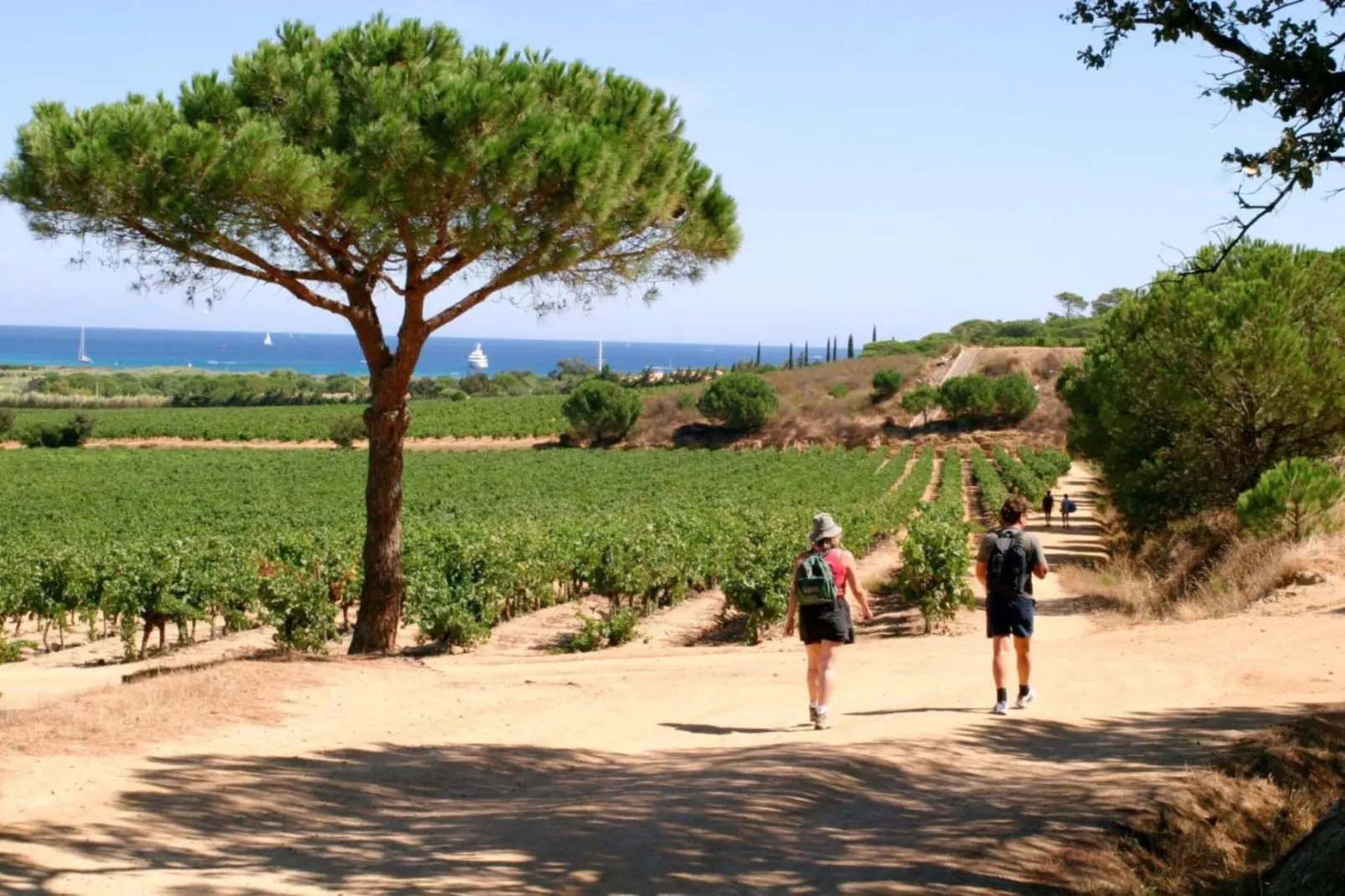 Villa Saint Tropez-Gebieden zomer 5km