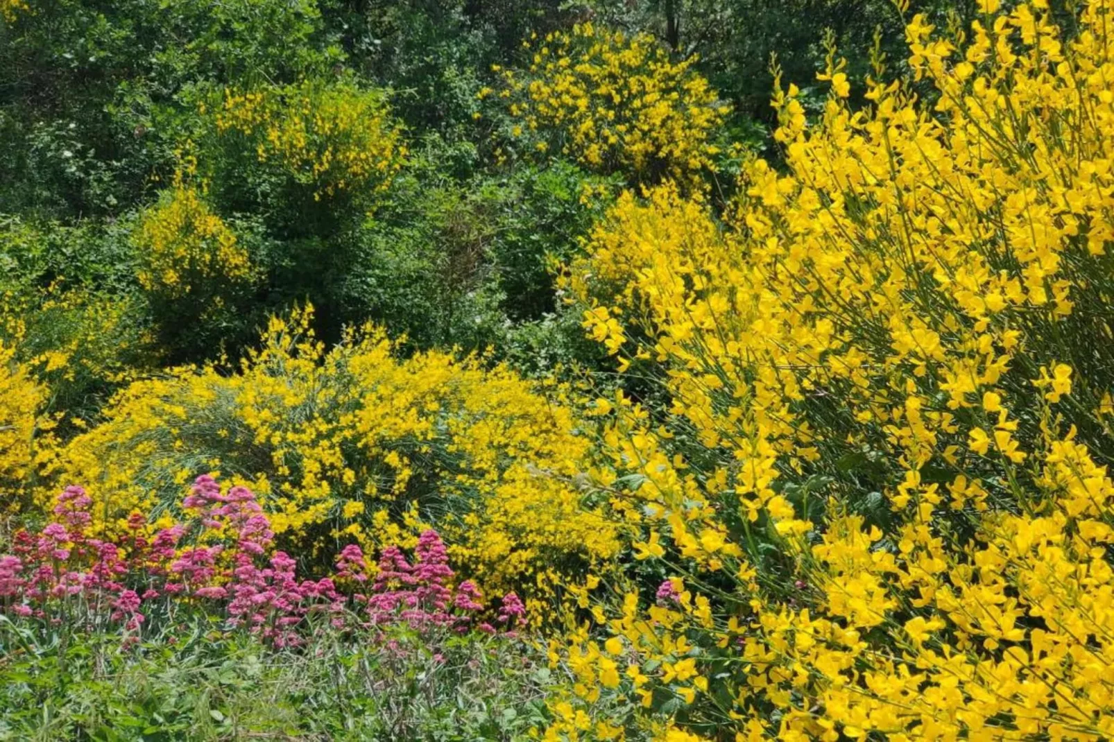 La Bastide des Chênes 3-Gebieden zomer 20km