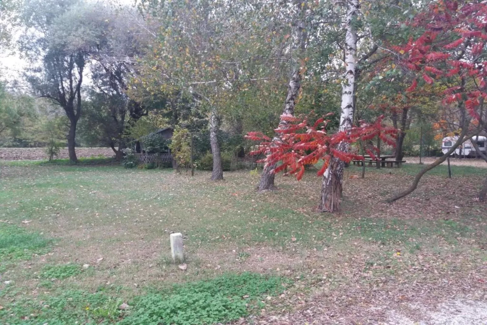 Apartment Josip-Gebieden zomer 20km