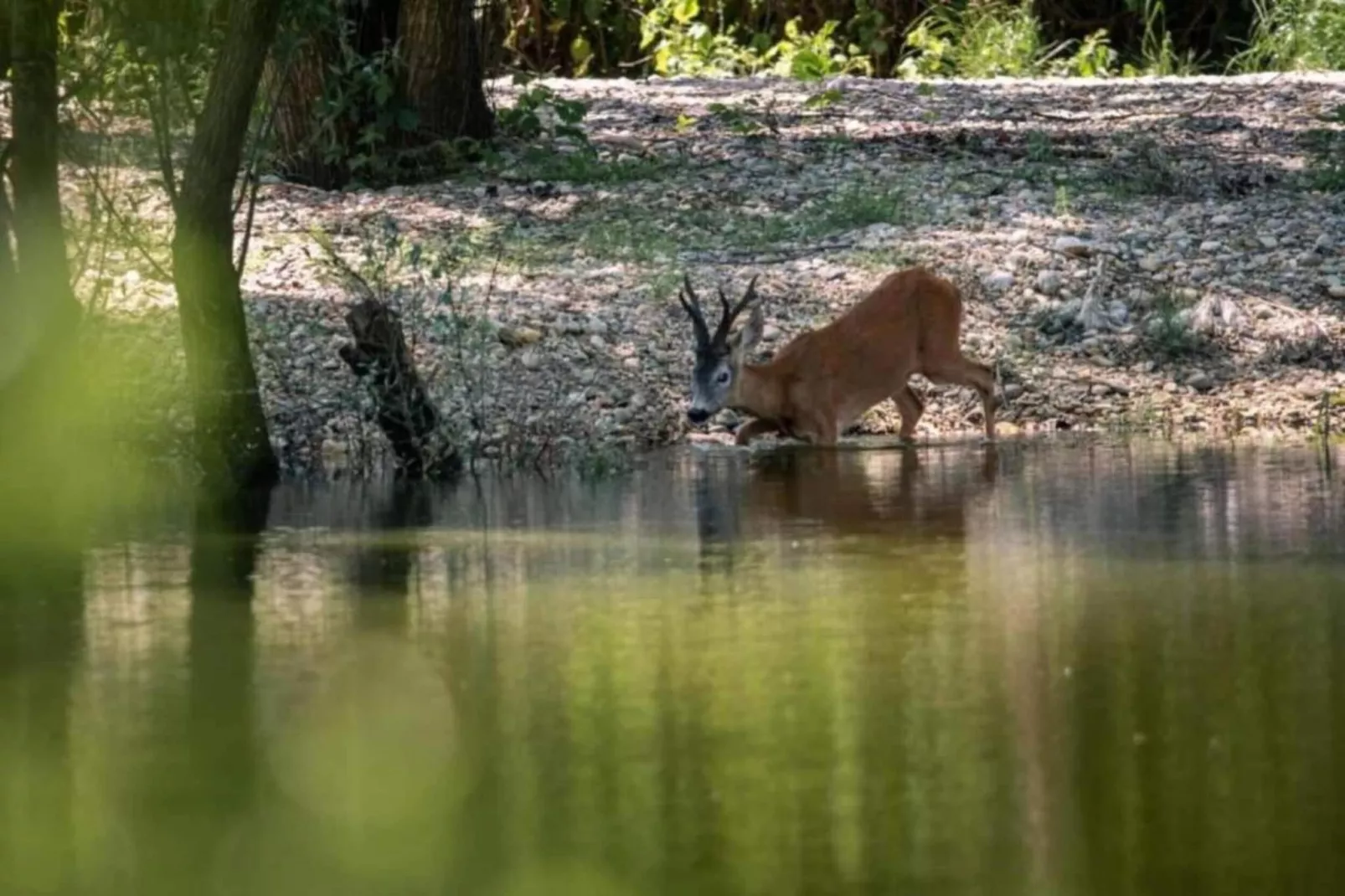 Apartment Dramalj-Gebieden zomer 1km
