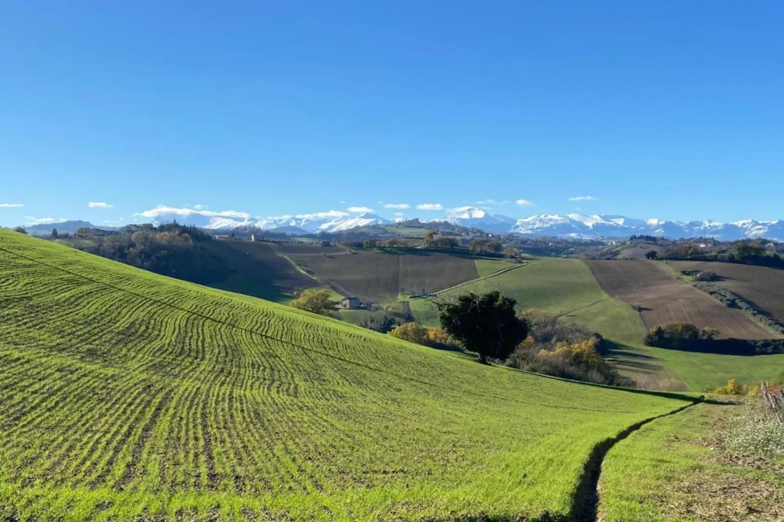 Casale degli Ulivi-Gebieden zomer 20km