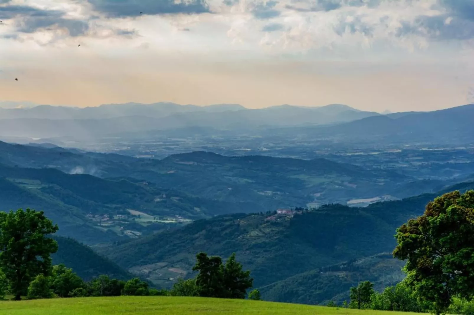 Sangiovese-Gebieden zomer 20km