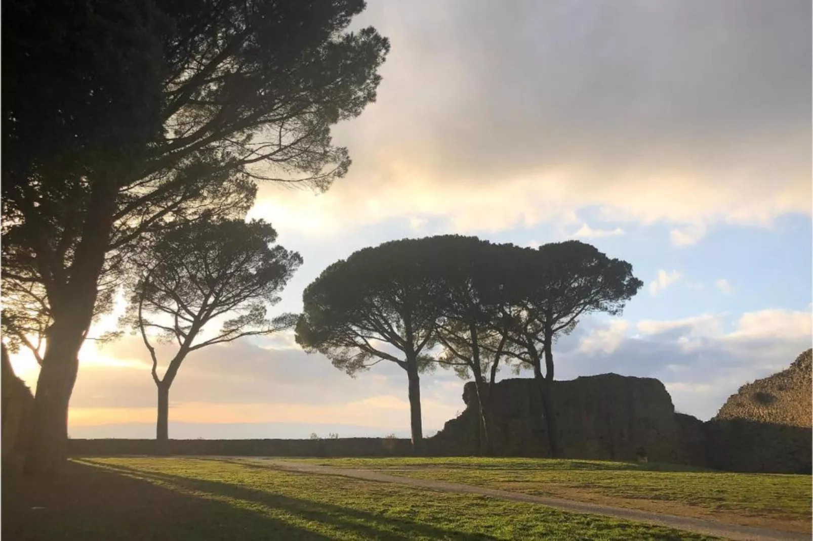 Orchidea-Gebieden zomer 20km