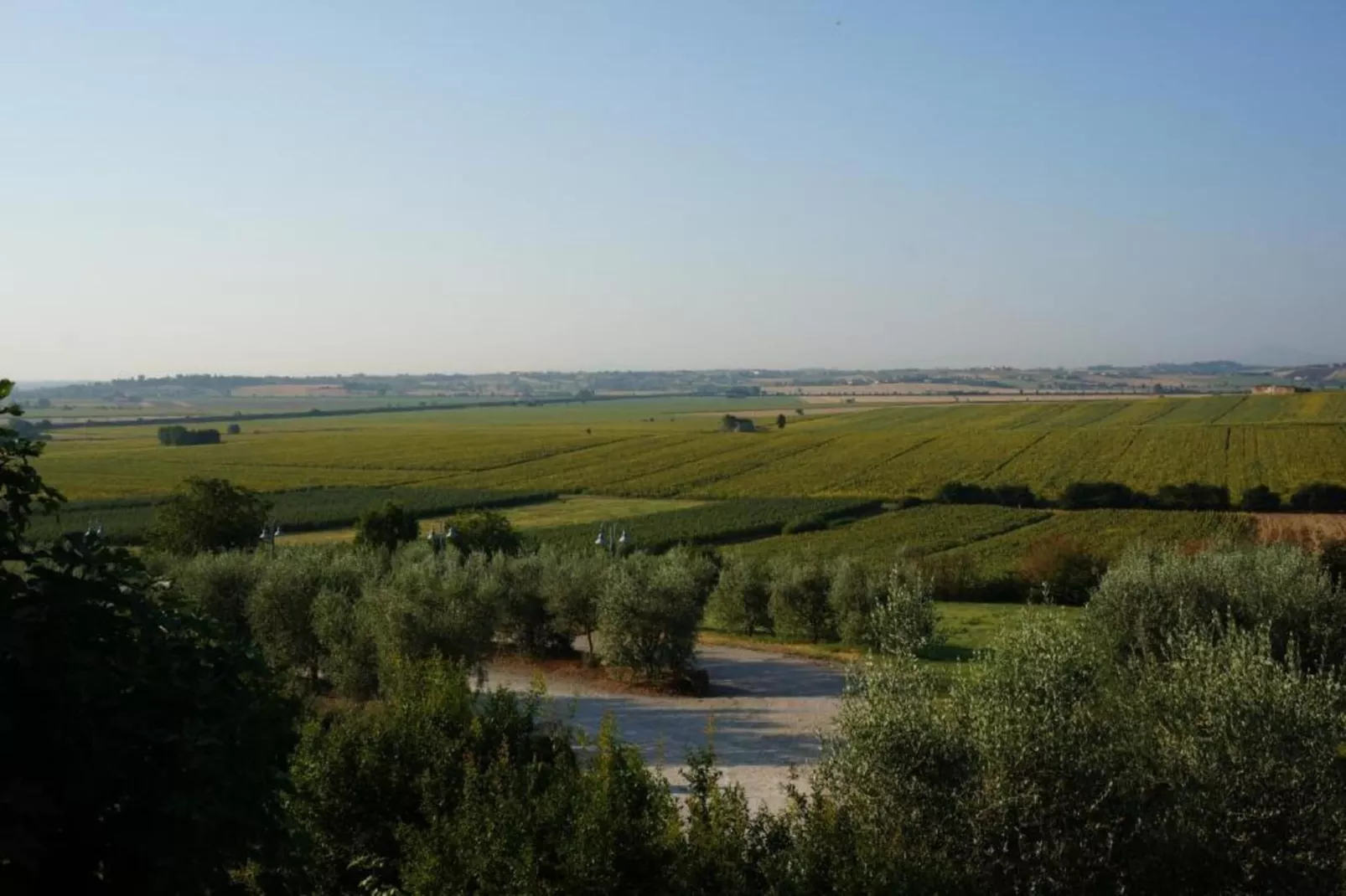 Castagno del Riccio-Gebieden zomer 5km
