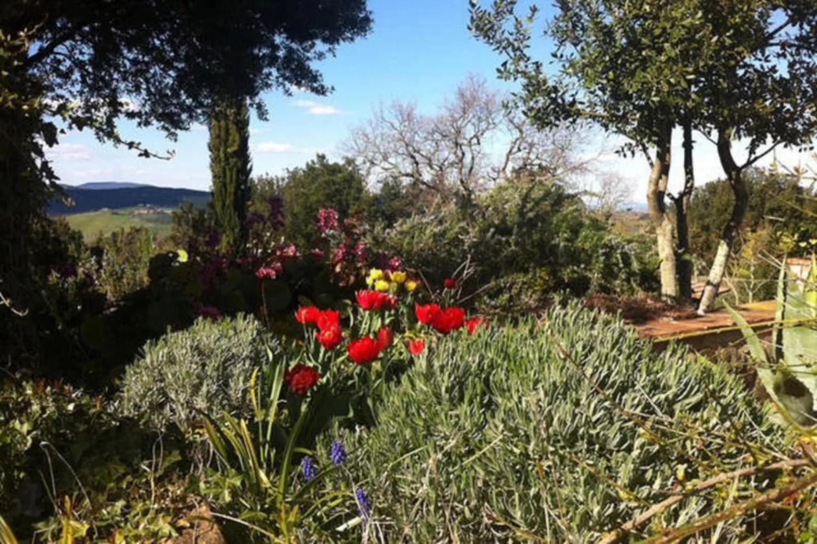 Villino Uno-Gebieden zomer 20km