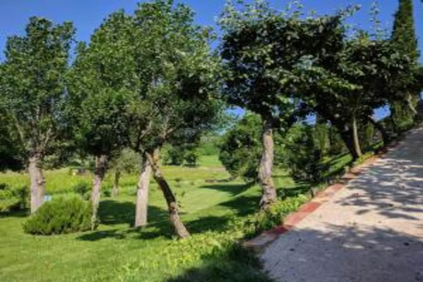 Poggio Casale-Gebieden zomer 20km