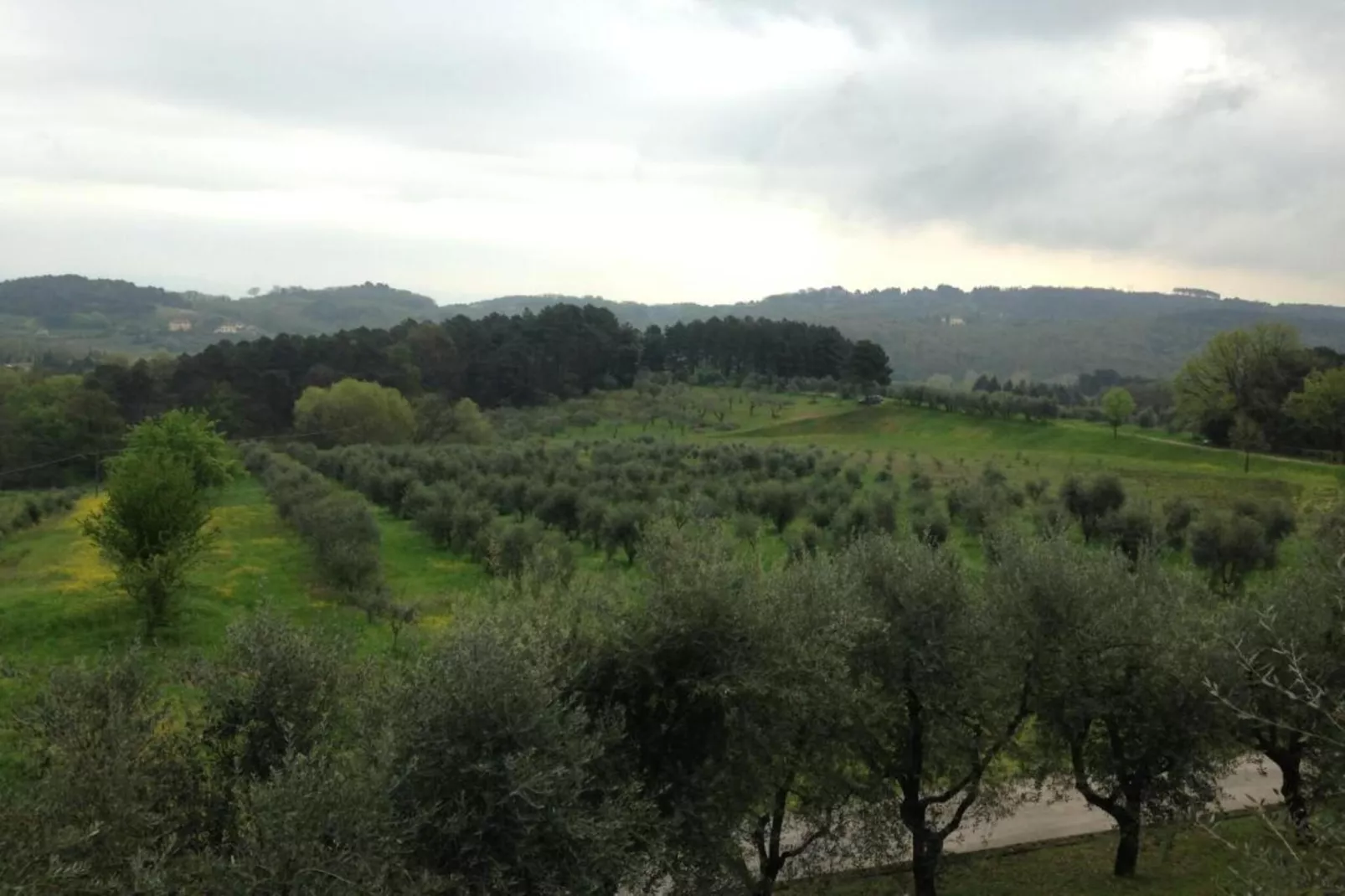 Le Mura di Lucca-Gebieden zomer 20km