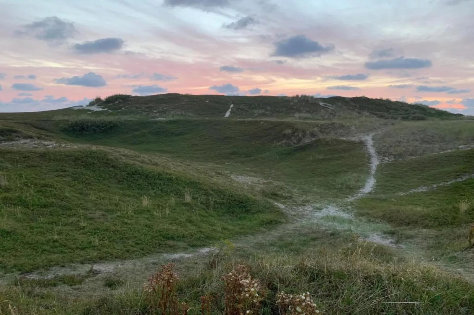 Residentie Californië 9-Gebieden zomer 20km