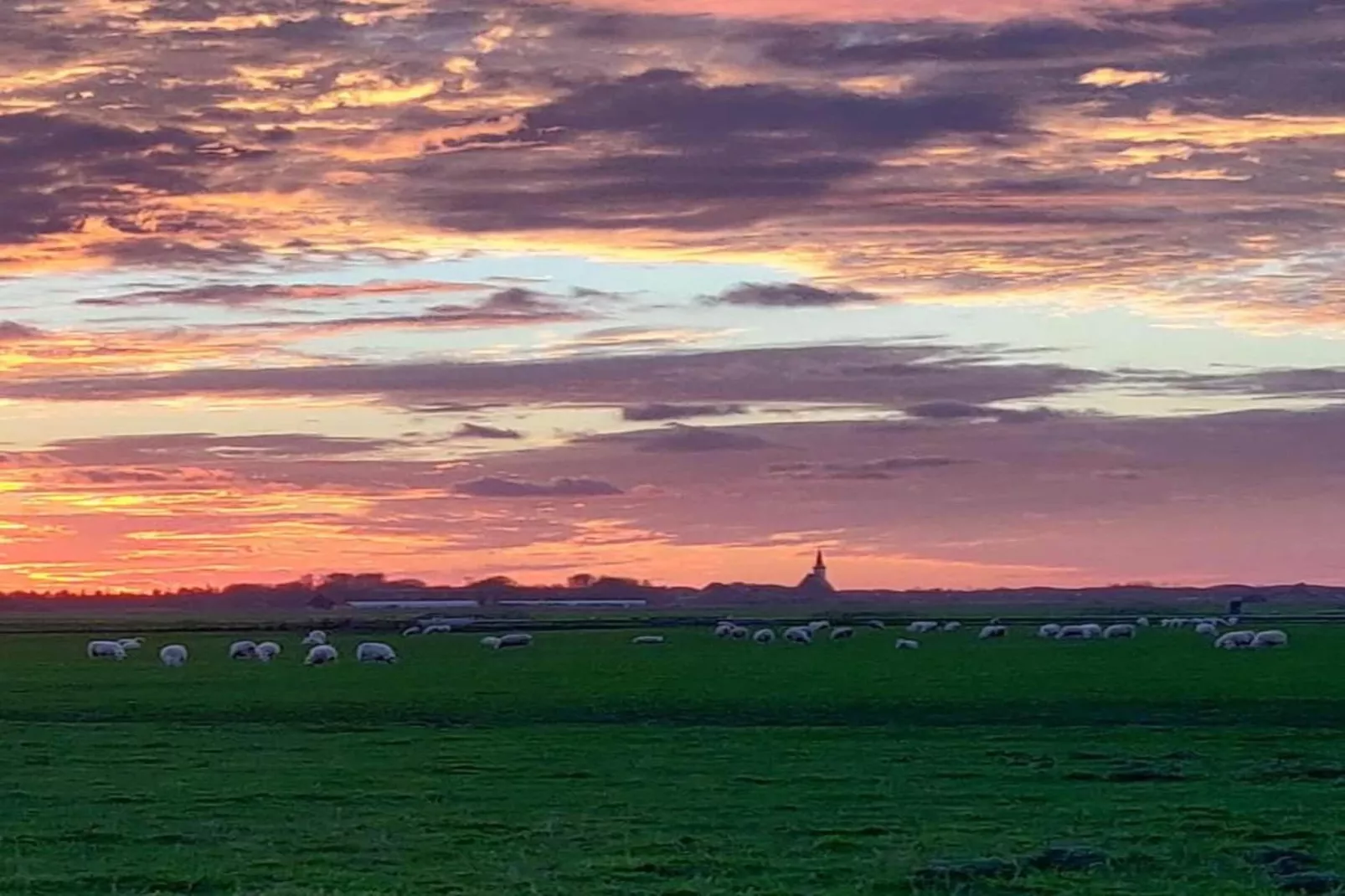 Kustpark Texel 6-Gebieden zomer 20km