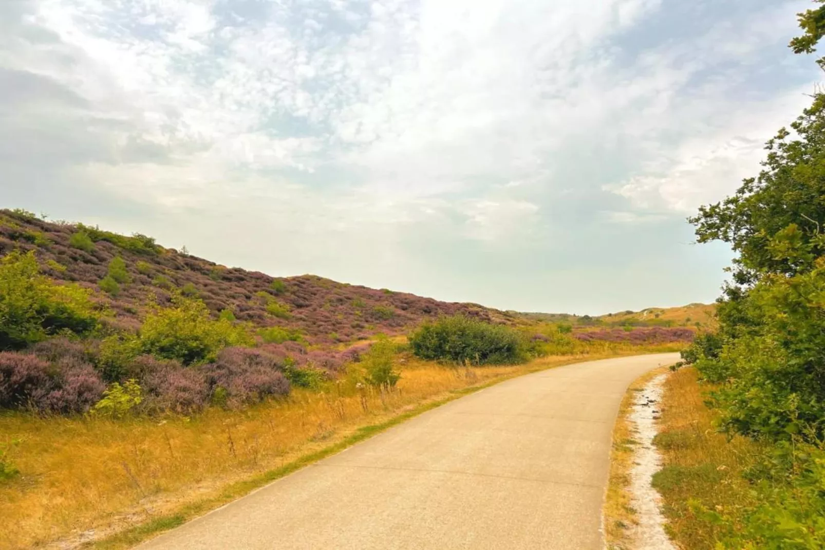 DE PETTEN-Gebieden zomer 20km