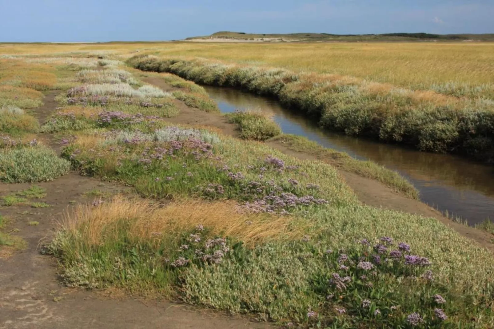 Residentie Californië 6-Gebieden zomer 20km
