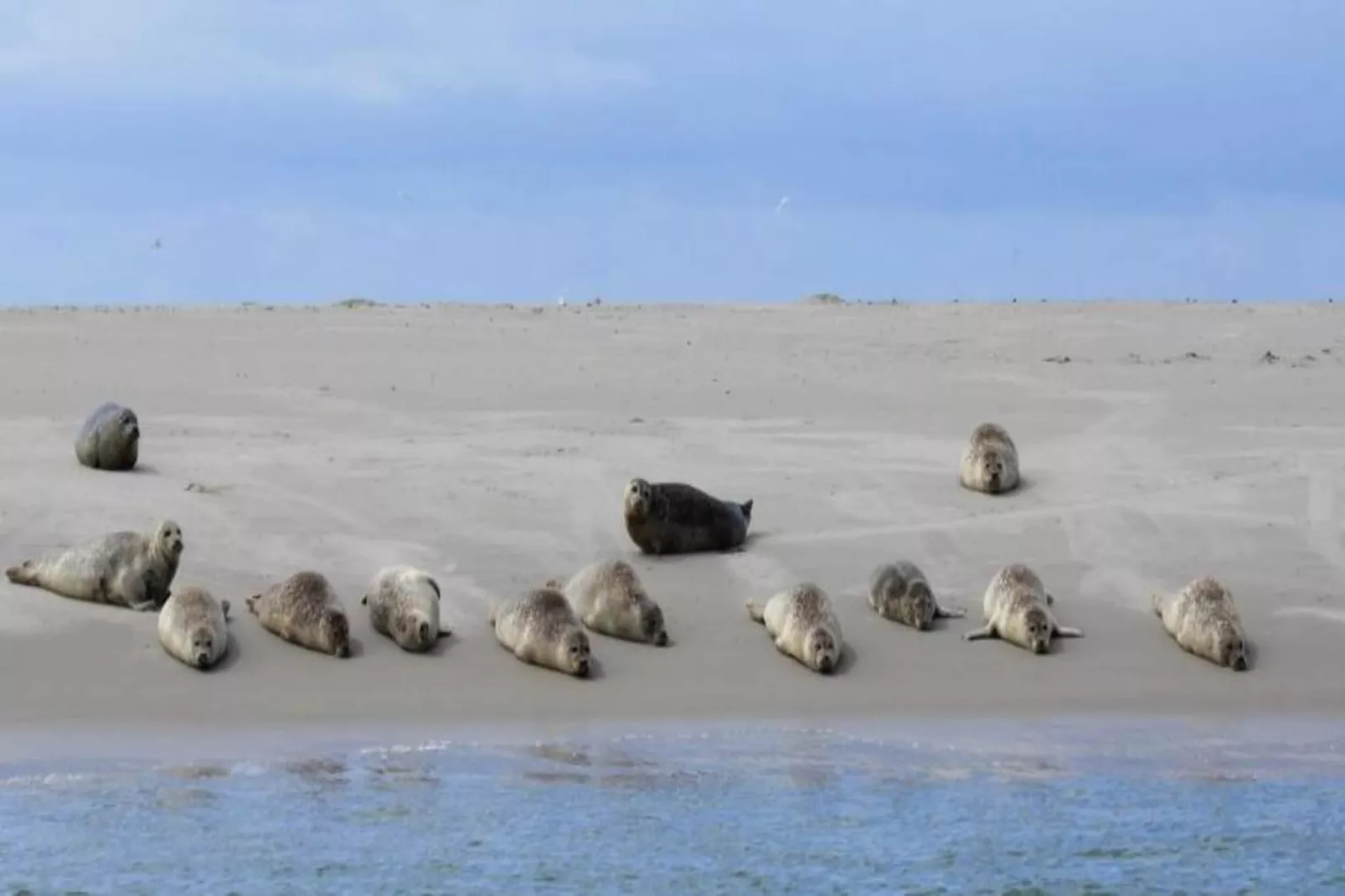 Residentie Californië 2-Gebieden zomer 20km