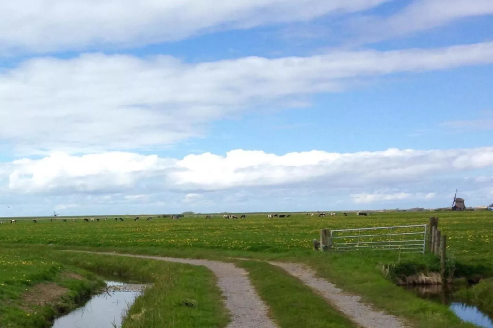 Vier Duinen-Gebieden zomer 20km