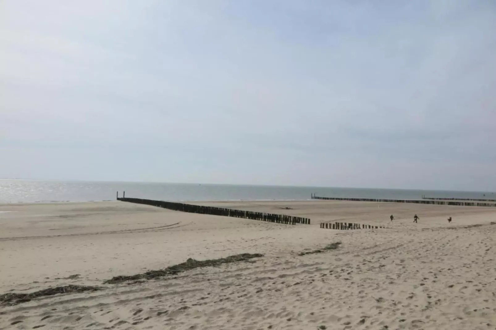 Noordzee Résidence Dishoek 2-Gebieden zomer 5km