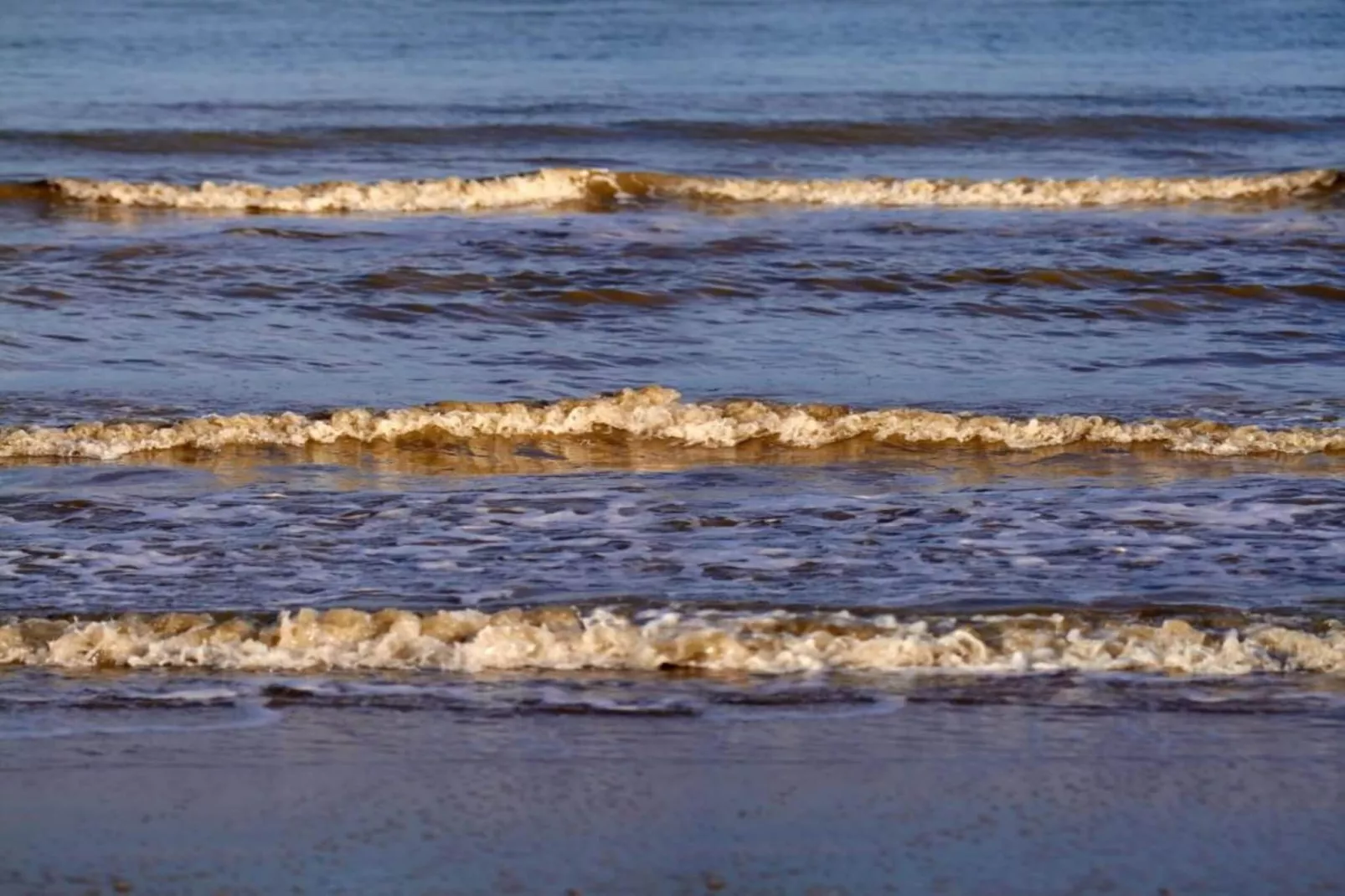 Groot Hof ter Zand-Gebieden zomer 20km