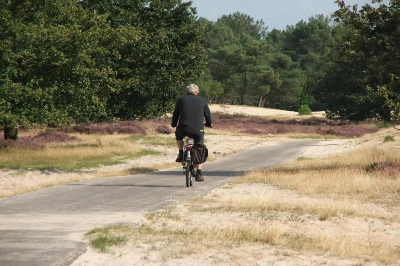 Recreatiepark Duinhoeve 1-Gebieden zomer 20km