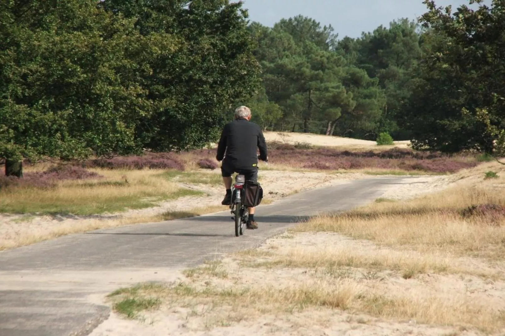 Recreatiepark Duinhoeve 12-Gebieden zomer 20km