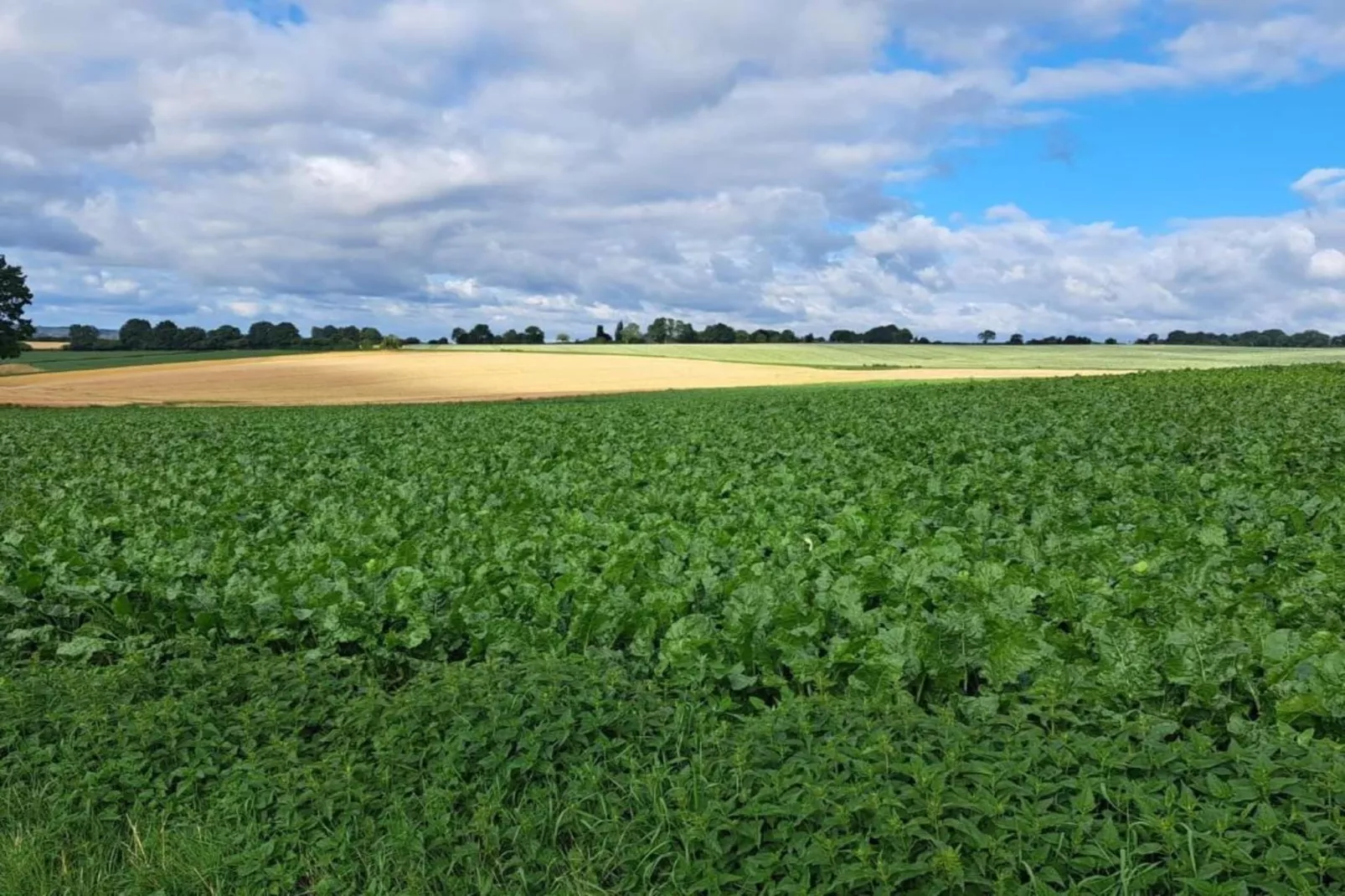 Hoeve A Gen Water- Donderblumke-Gebieden zomer 20km