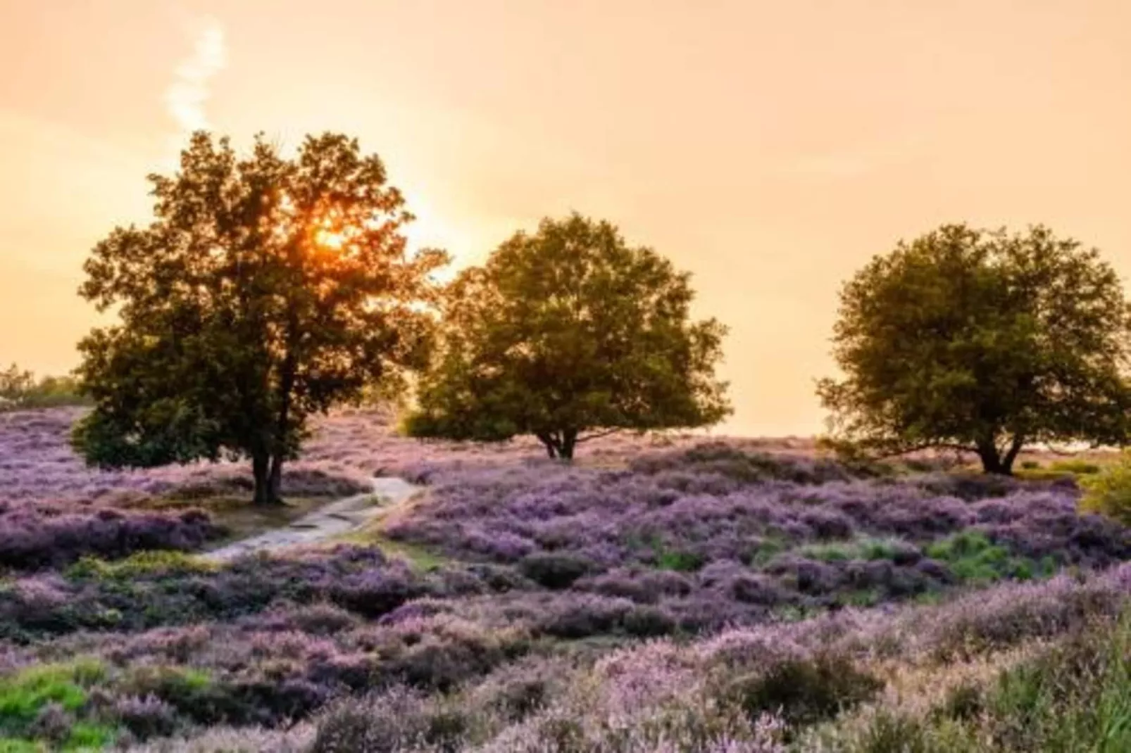Vakantie bij Meeussen - Schuttersoord 4-Gebieden zomer 20km