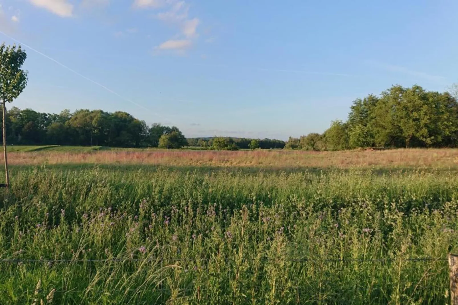 De Riethorst 1-Gebieden zomer 20km