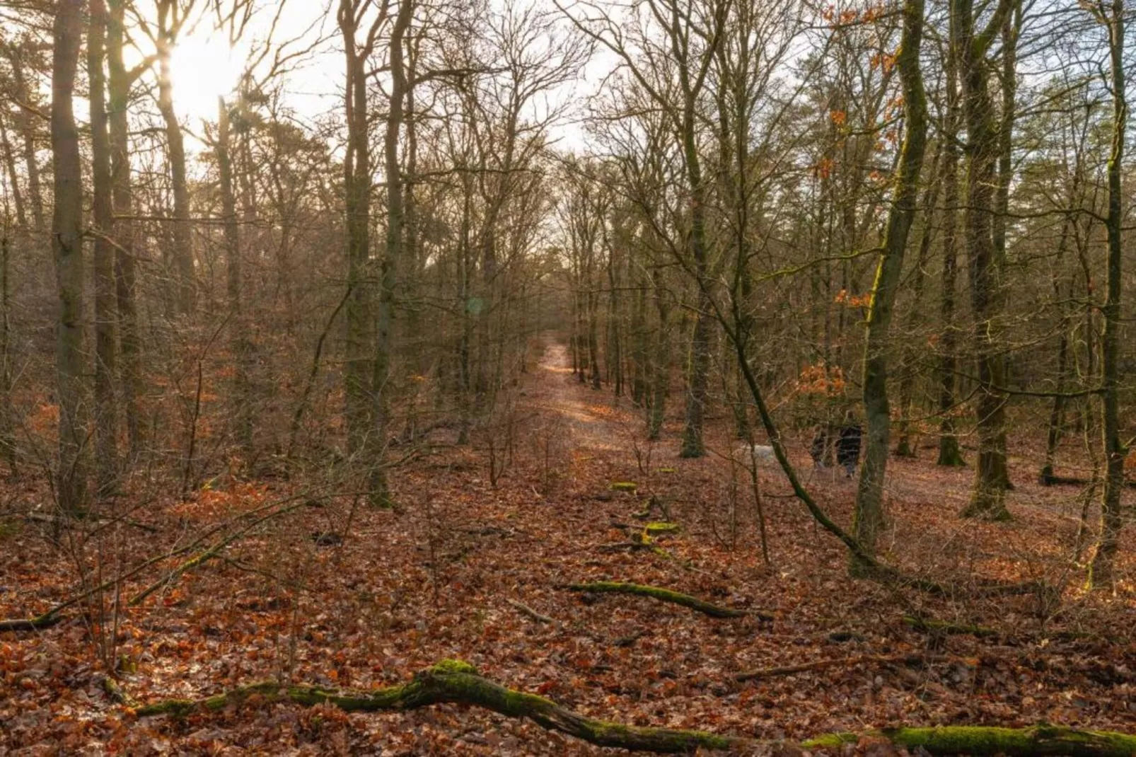 Bungalowpark Hoenderloo 3-Gebieden zomer 20km