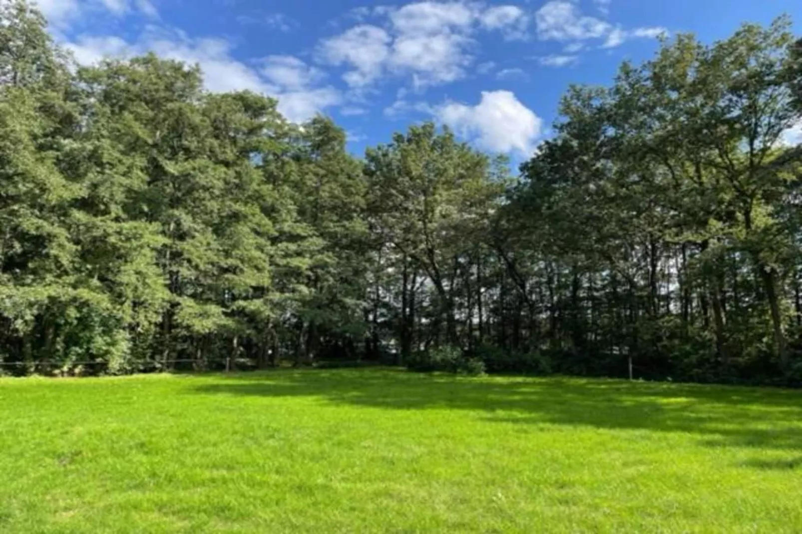 Vakantiecentrum 't Schuttenbelt 4-Gebieden zomer 20km