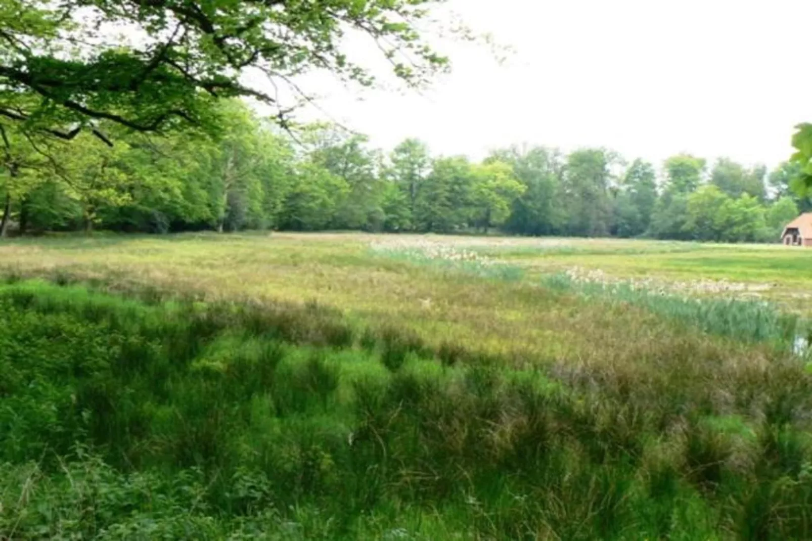 Vakantiecentrum 't Schuttenbelt 7-Gebieden zomer 20km