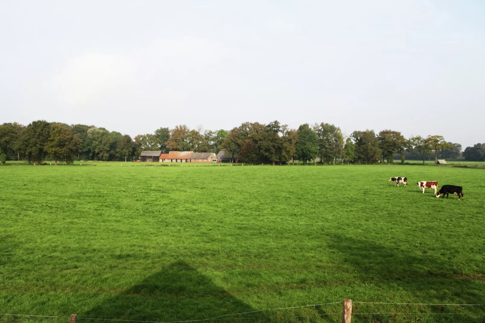 Kotman's spieker 6 persoons-Uitzicht zomer