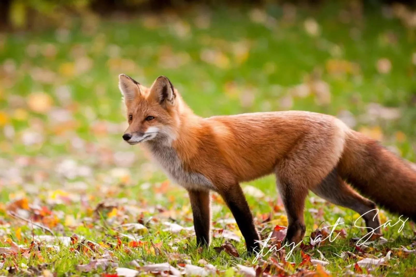 RCN de Jagerstee 3-Gebieden zomer 20km