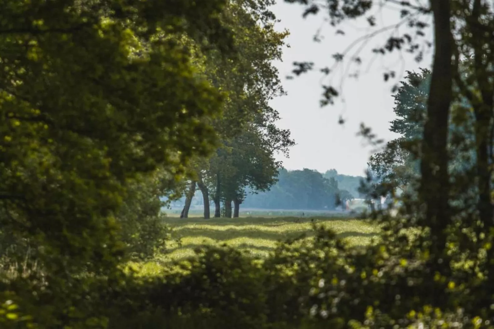 Haulervaart-Gebieden zomer 20km