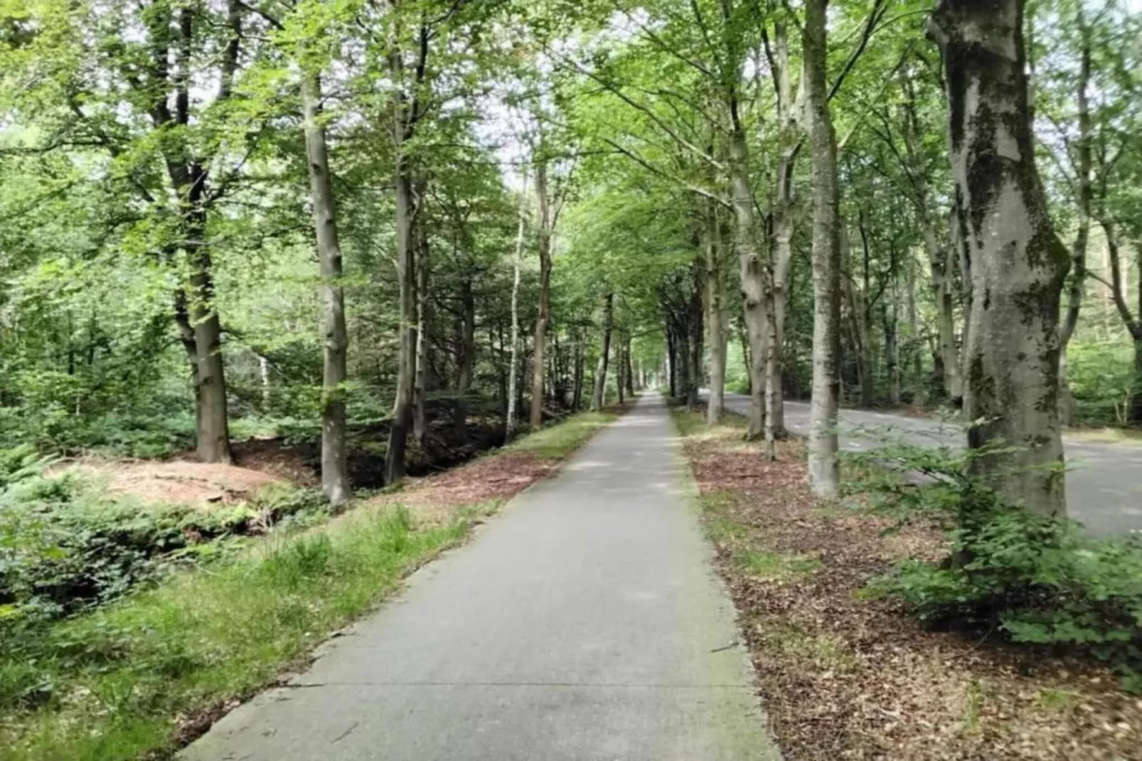Lyts Sypenstien-Gebieden zomer 5km