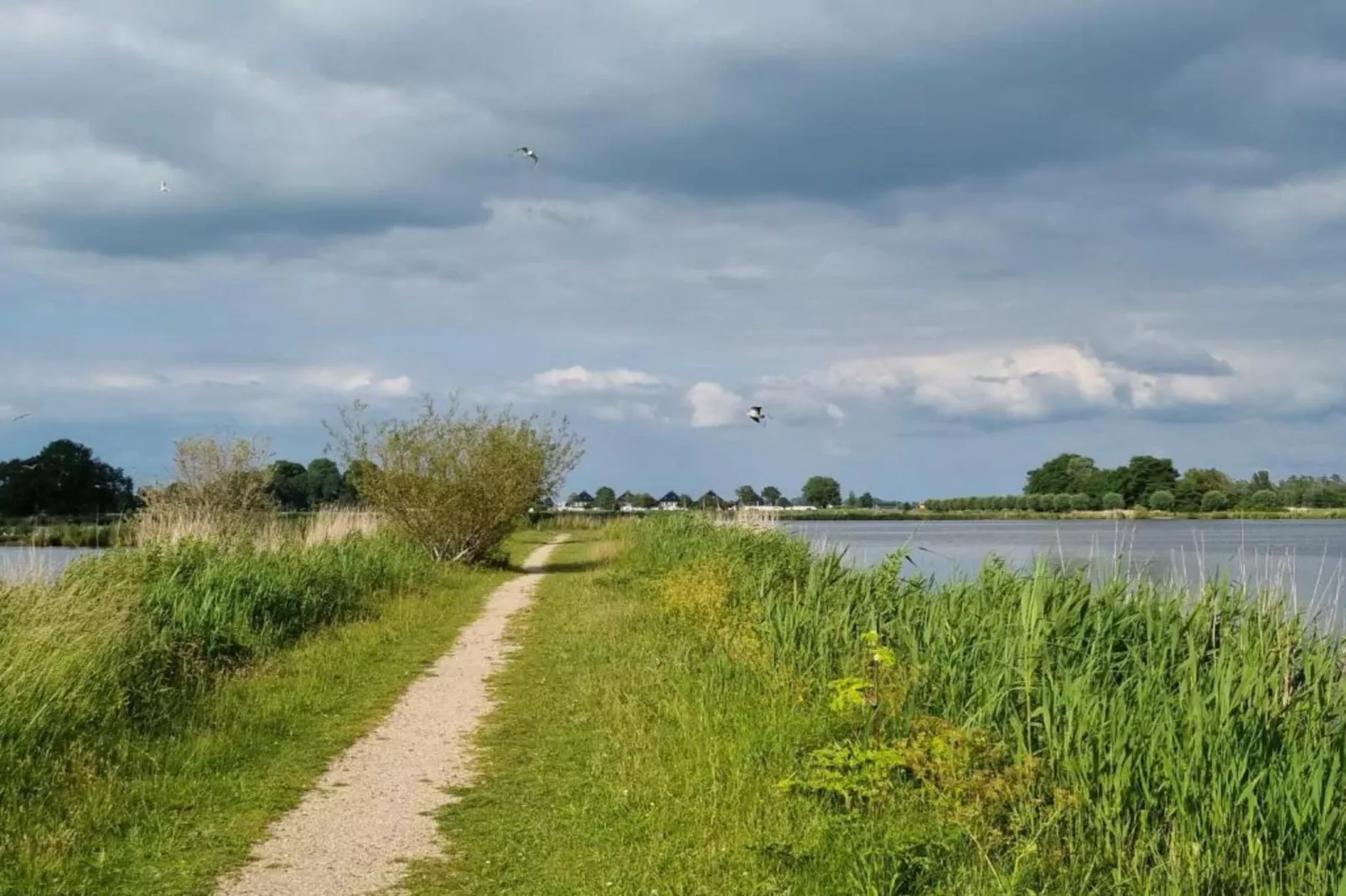 Houseboat Earrebarre - Paviljoenwei 1 - Offingawier-Gebieden zomer 5km