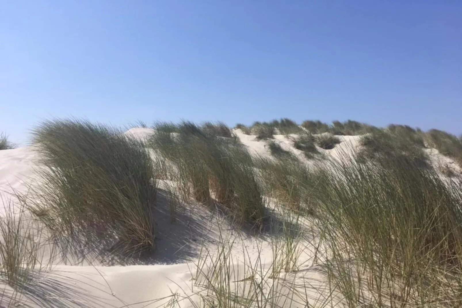 Skries-Gebieden zomer 20km