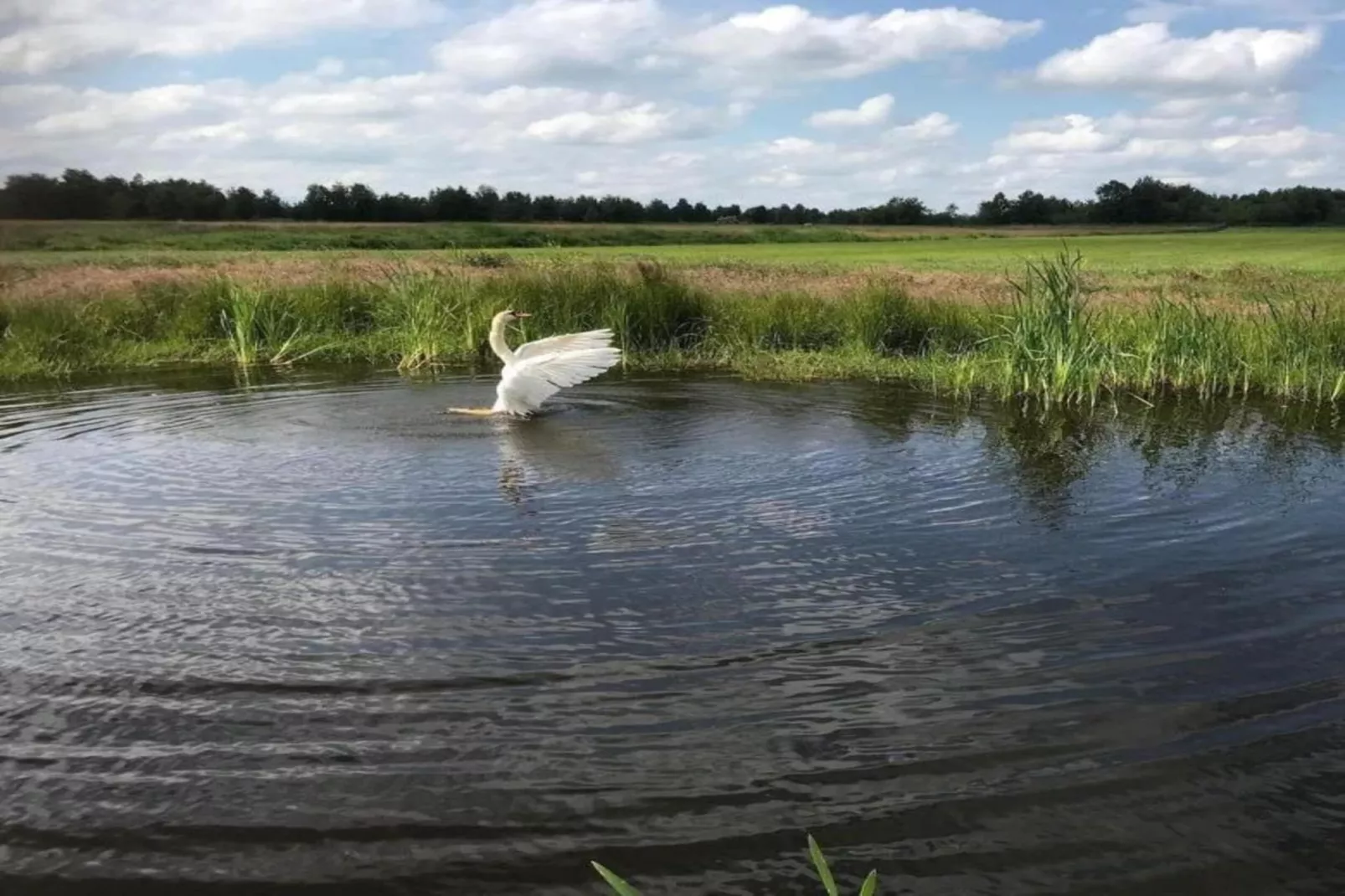Chalet Klaske-Gebieden zomer 20km