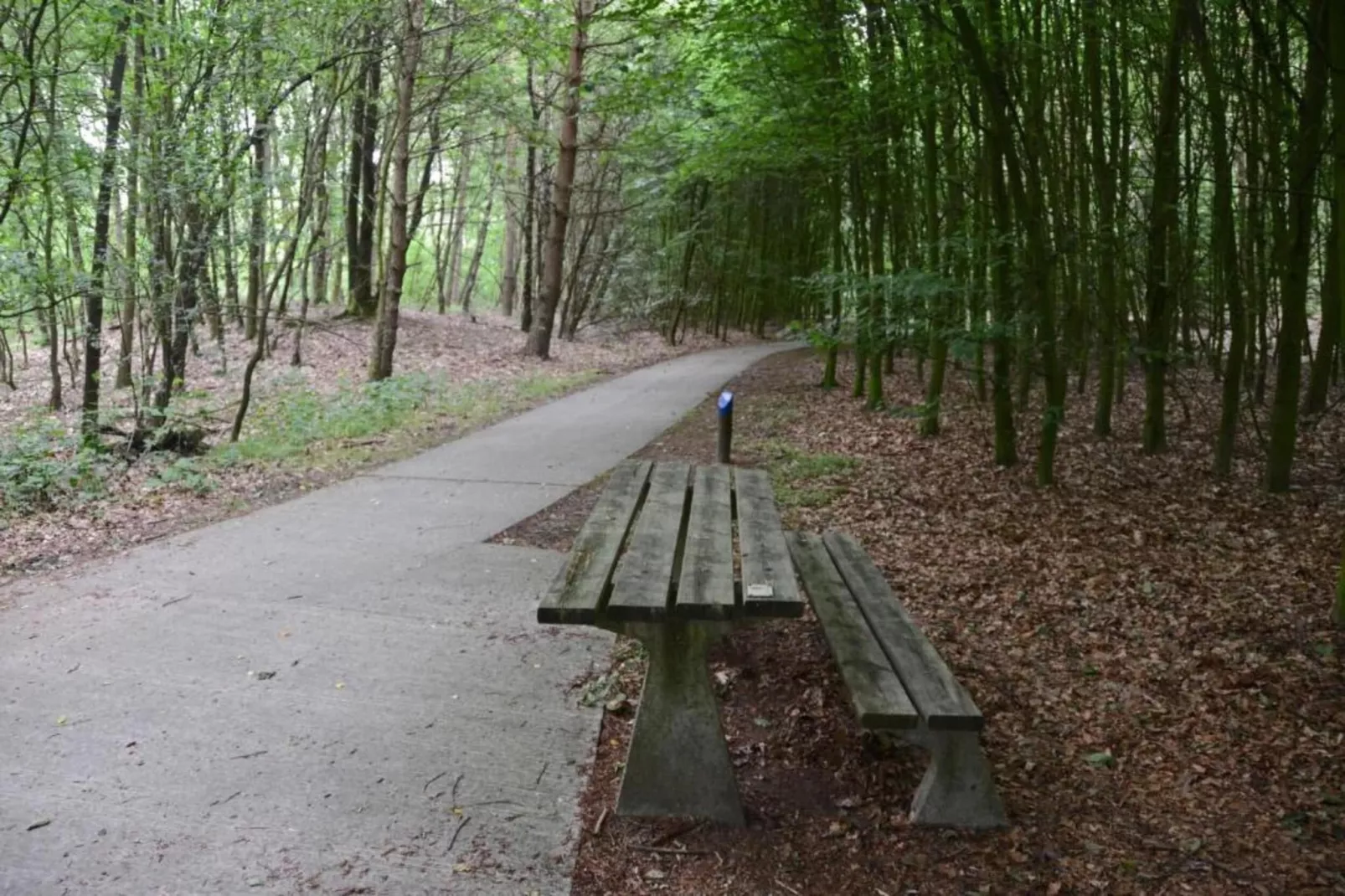 RCN Vakantiepark de Noordster 1-Gebieden zomer 20km