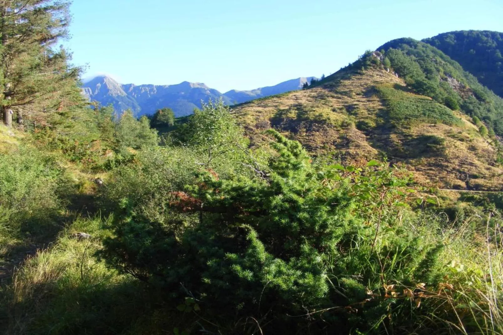 Rondine-Gebieden zomer 5km