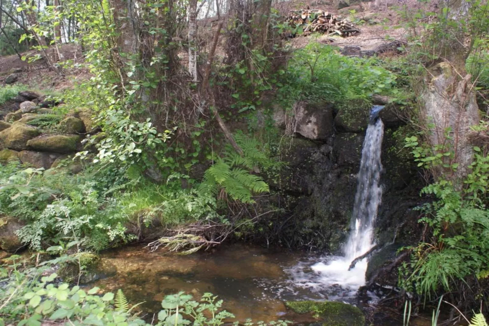 Casa Oliveirinha-Gebieden zomer 20km