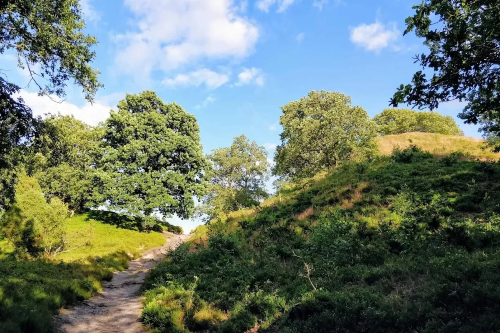 6 persoons vakantie huis in Silkeborg-By Traum-Niet-getagd