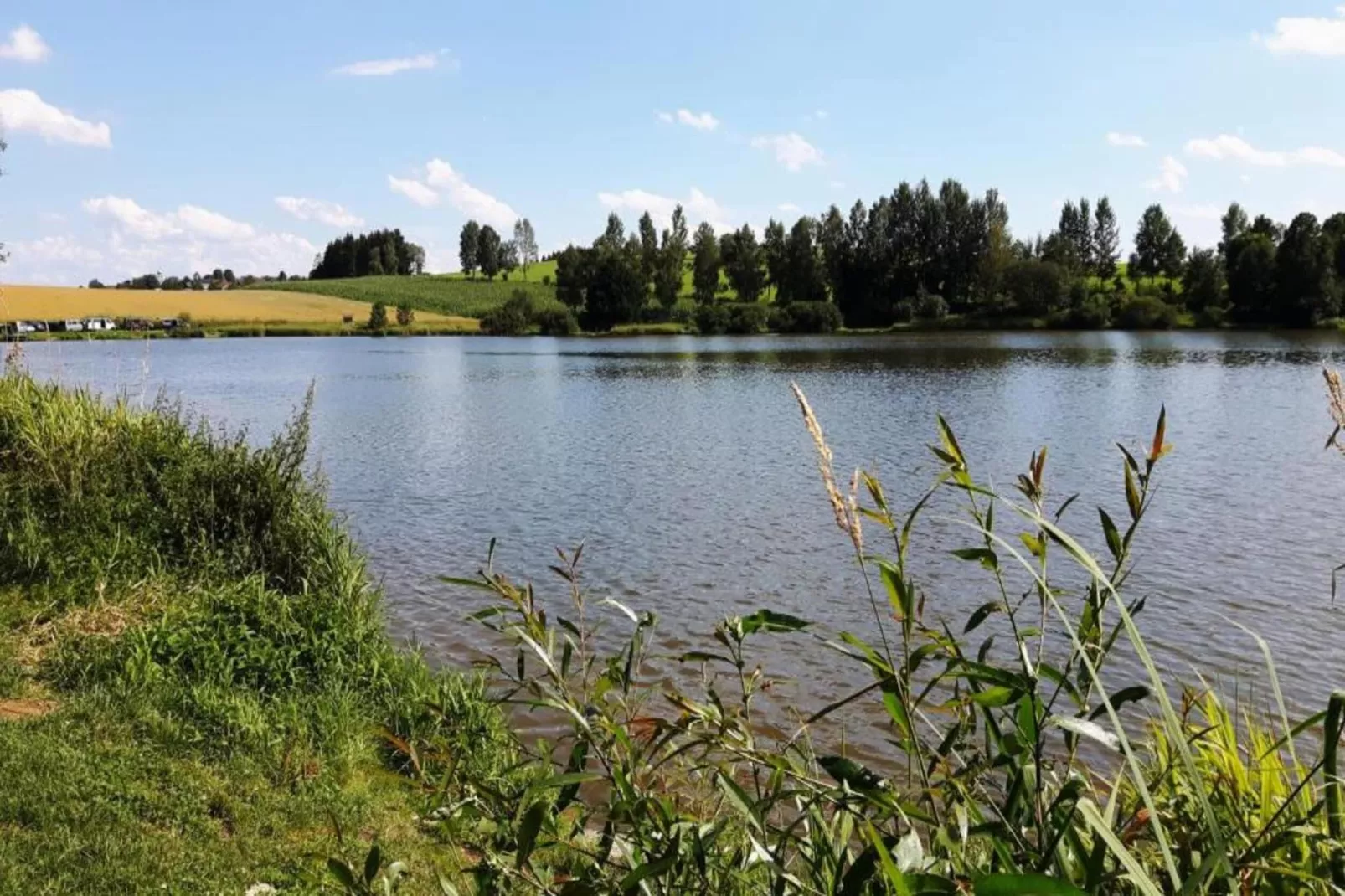Thüringer Ferienhäuschen-Gebieden zomer 20km