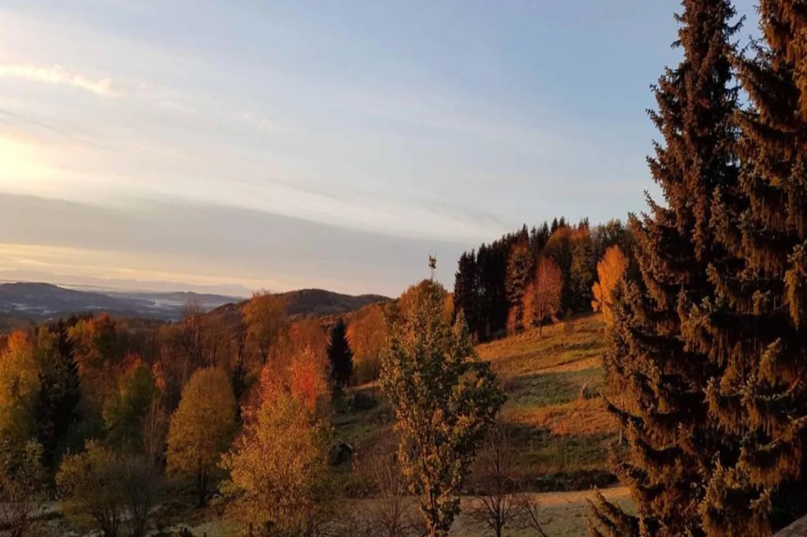 	Holiday flats Haus am Wald Zenting-Wohnung für 2 Personen-Gebieden zomer 20km