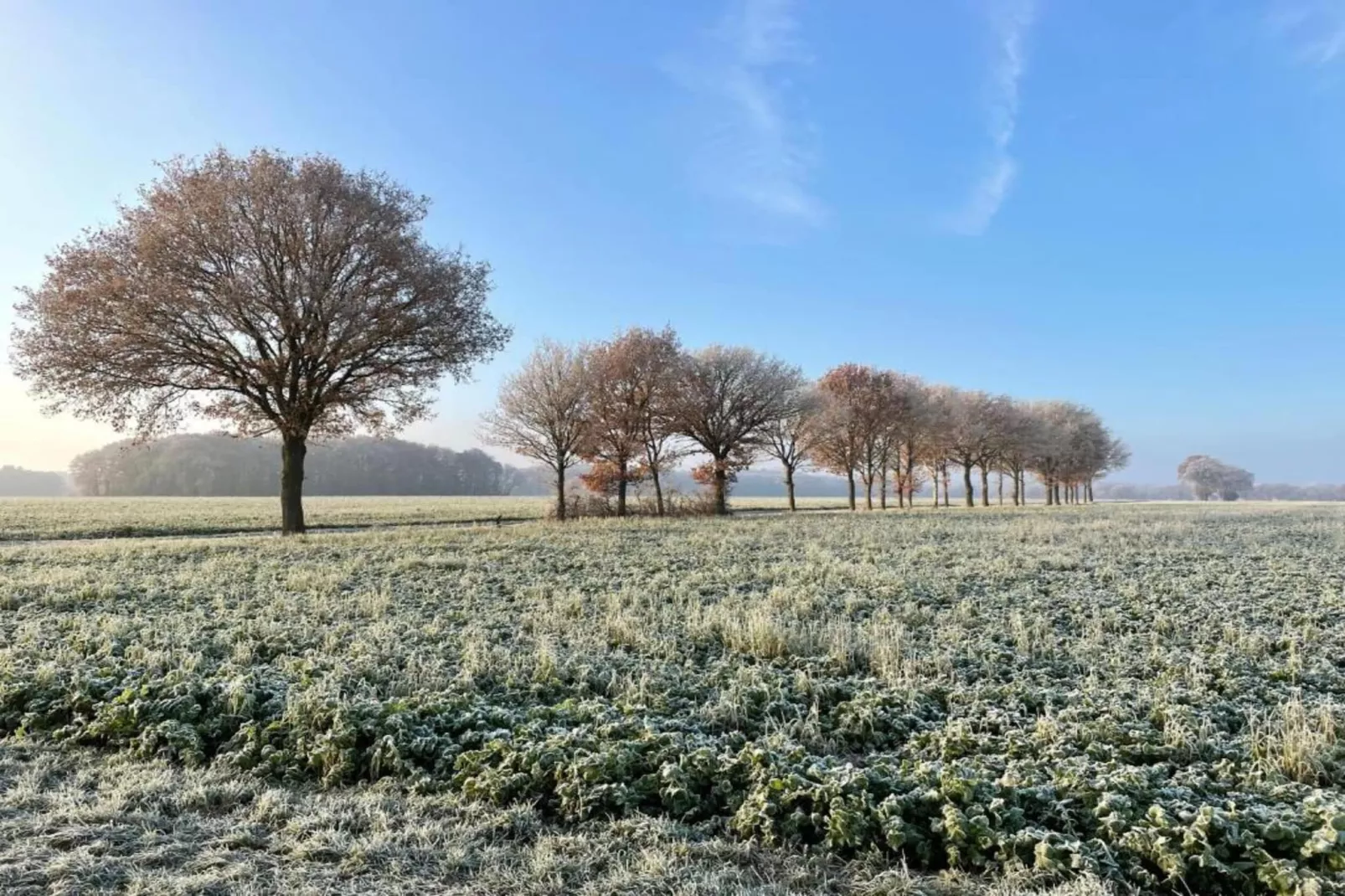 Glamping Resort Lauwersmeer 3-Gebieden zomer 20km