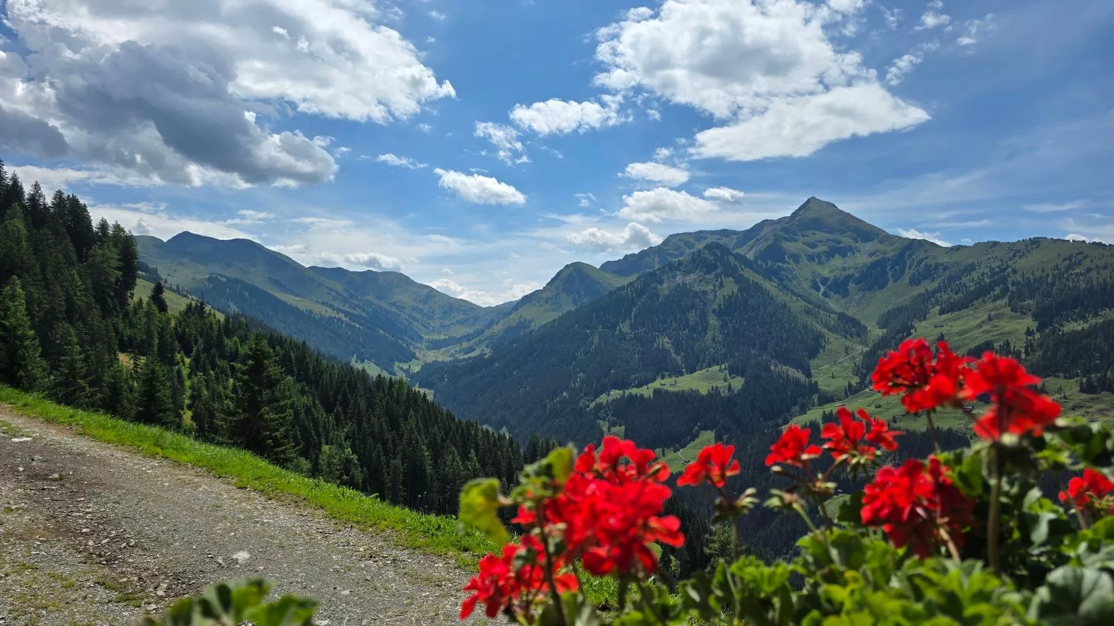 EAGGA-Niederleger Alm-Uitzicht zomer