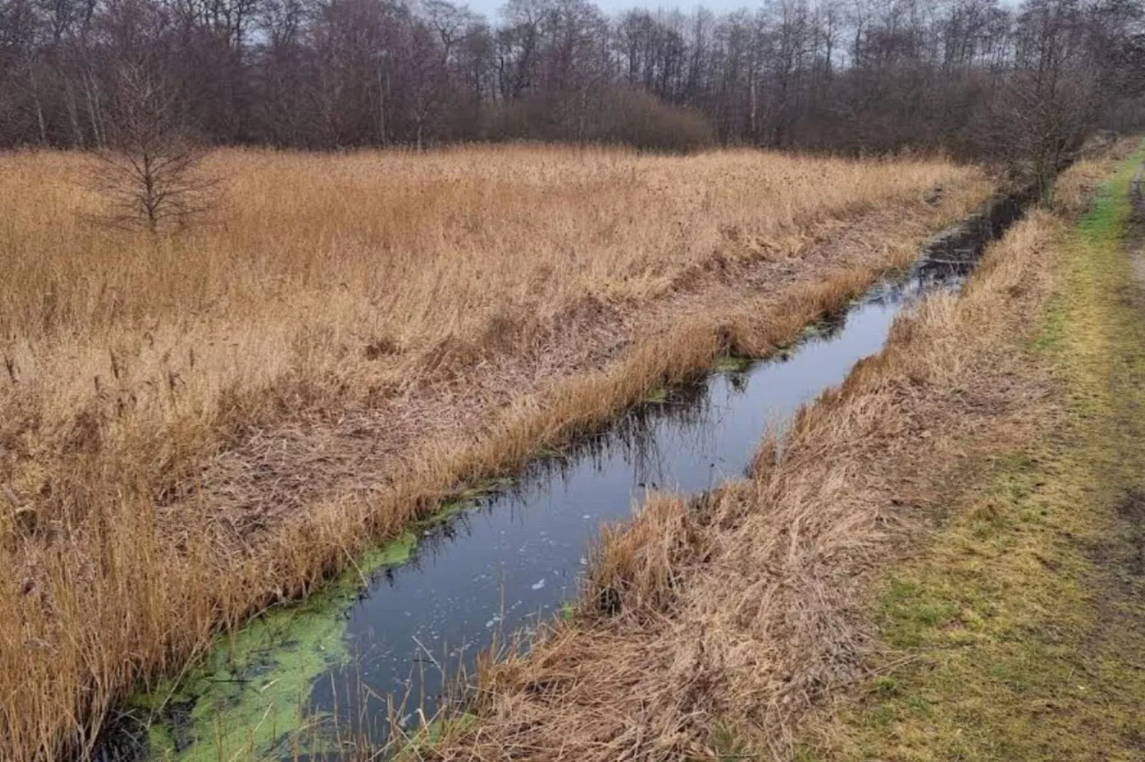 Vakantiehuis in Ebeltoft met dakterras-Niet-getagd
