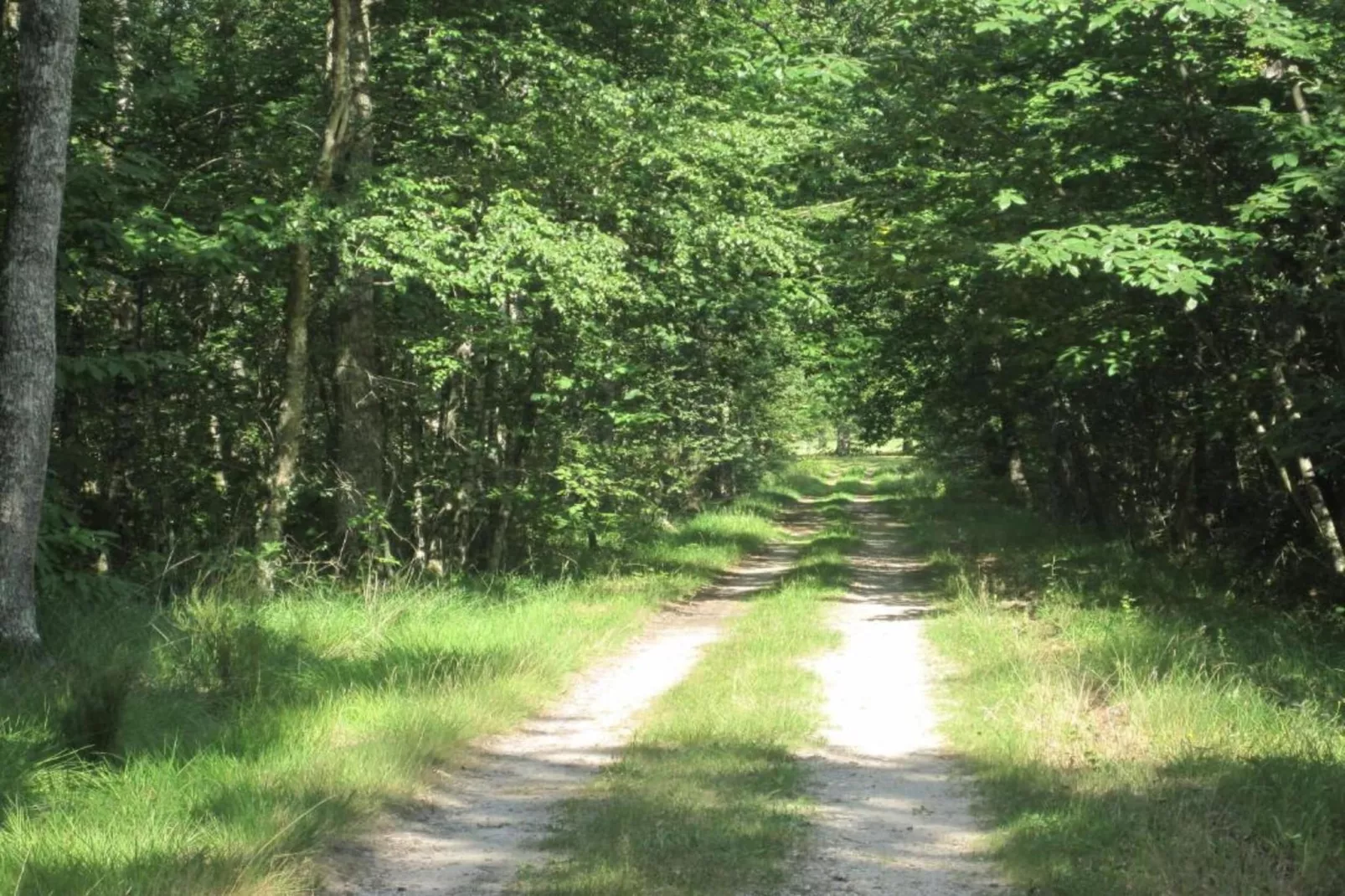 Le Vieux Chene-Gebieden zomer 20km