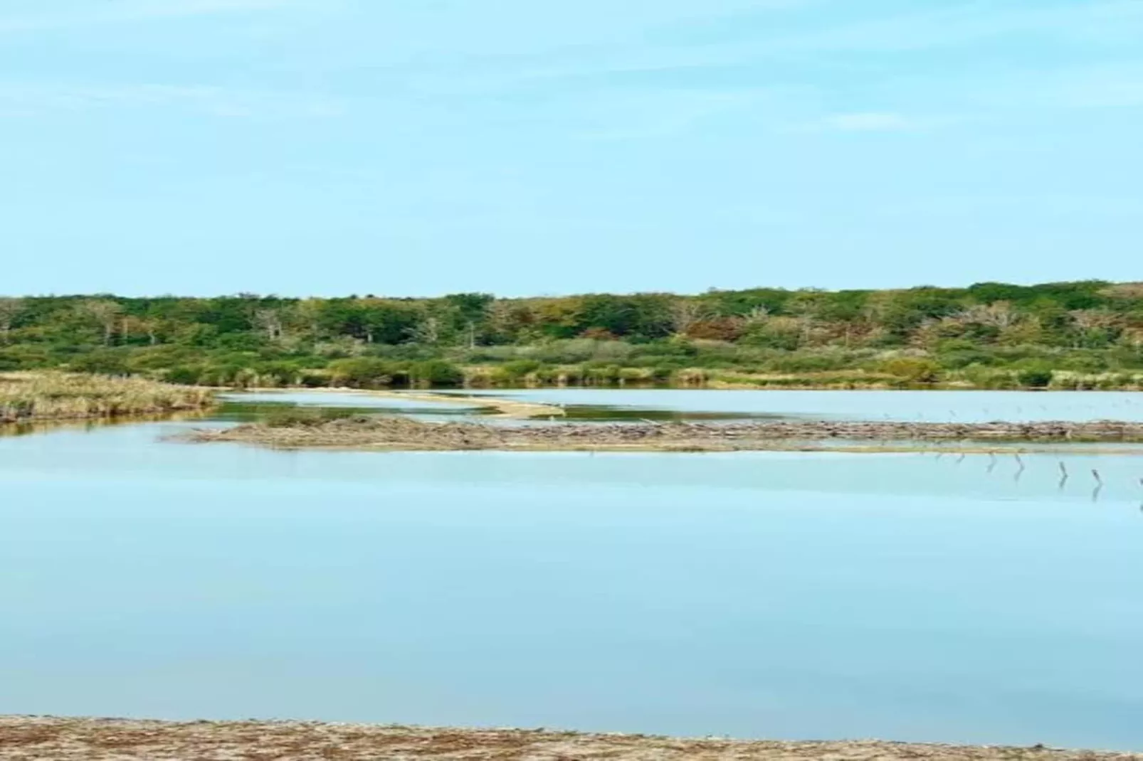 De Boshut-Gebieden zomer 20km