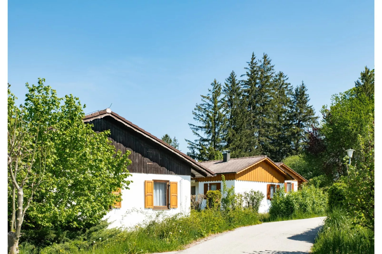 Feriendorf Weissensee-Buitenkant zomer