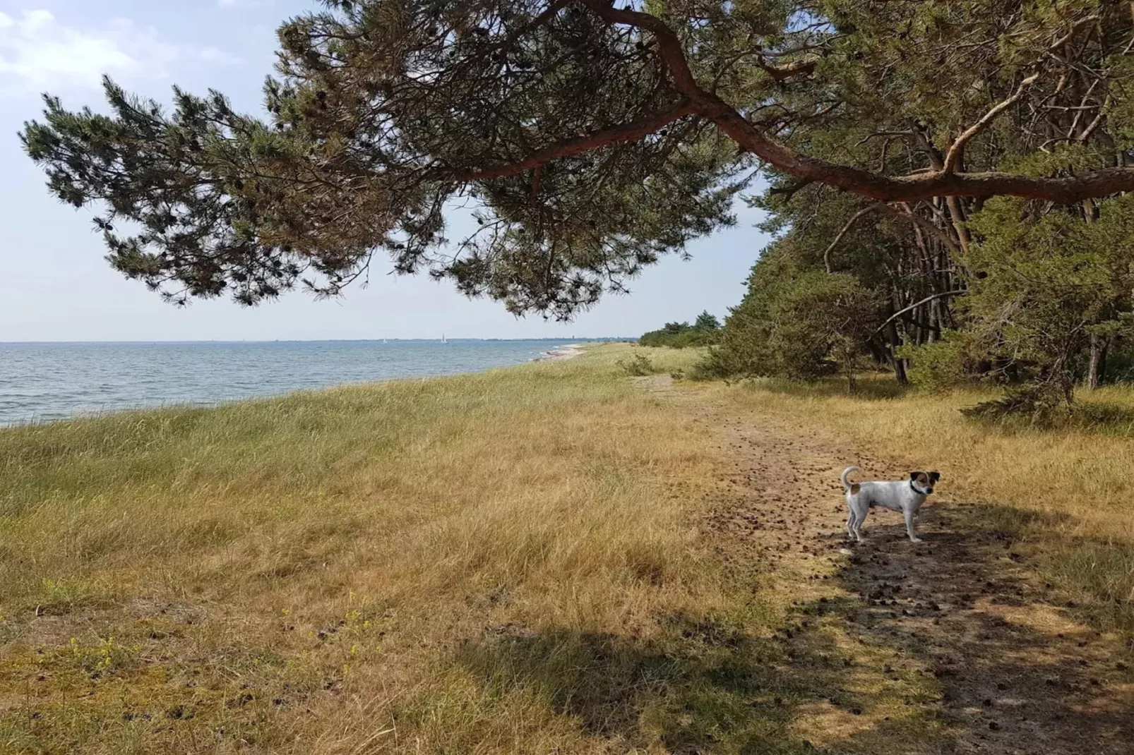 Gutshaus Zicker -Wohnung 3-Gebieden zomer 5km