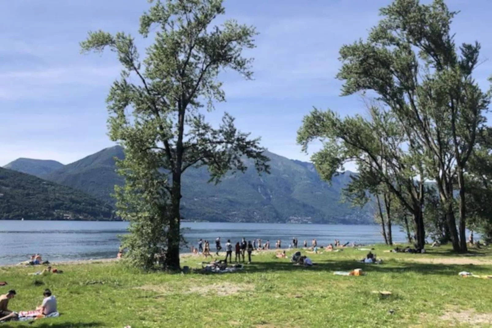 BOS03/3-Gebieden zomer 20km